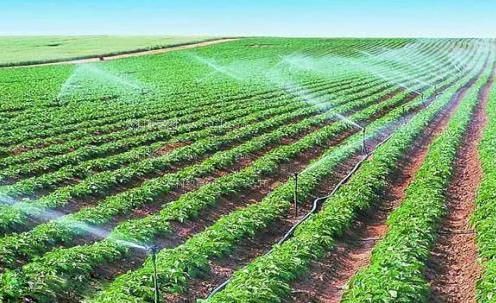 想看骚逼农田高 效节水灌溉